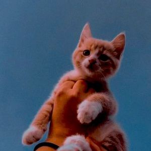 Meet your Posher, Karina